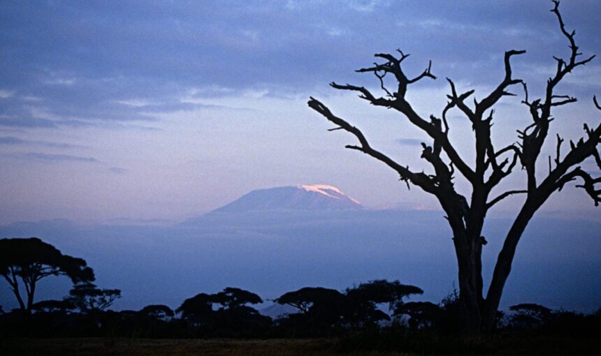 What Amboseli Offer
